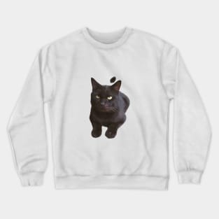 Shadow the Black Cat Crewneck Sweatshirt